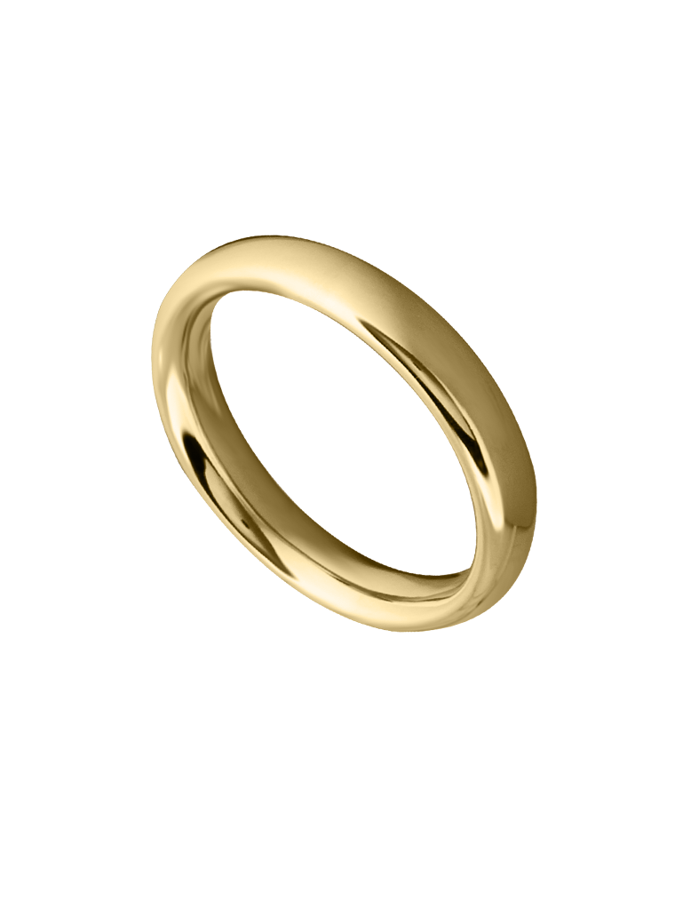 Ring (Kopie)