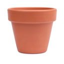 Blumentopf (Kopie)
