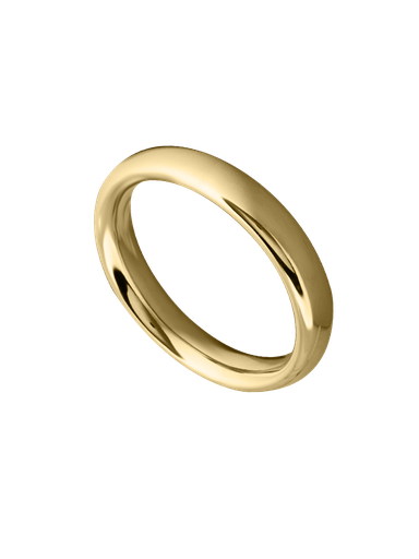Ring (Kopie)